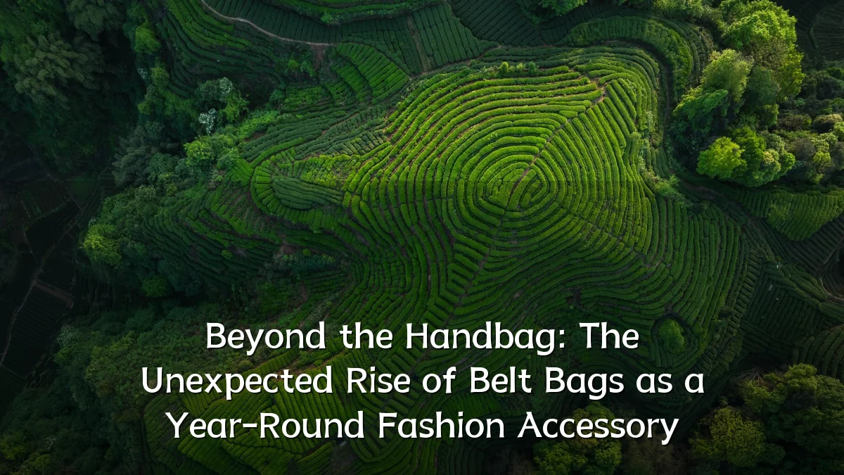 Beyond the Handbag: The Unexpected Rise of Belt Bags as a Year-Round Fashion Accessory