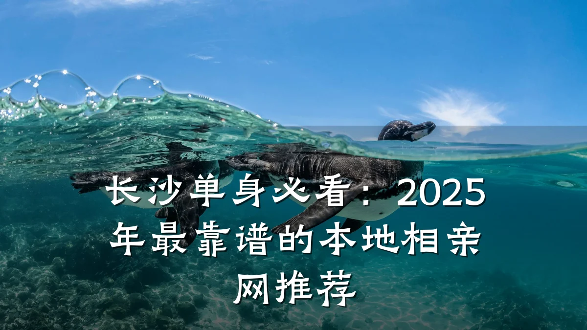 长沙单身必看:2025年最靠谱的本地相亲网推荐