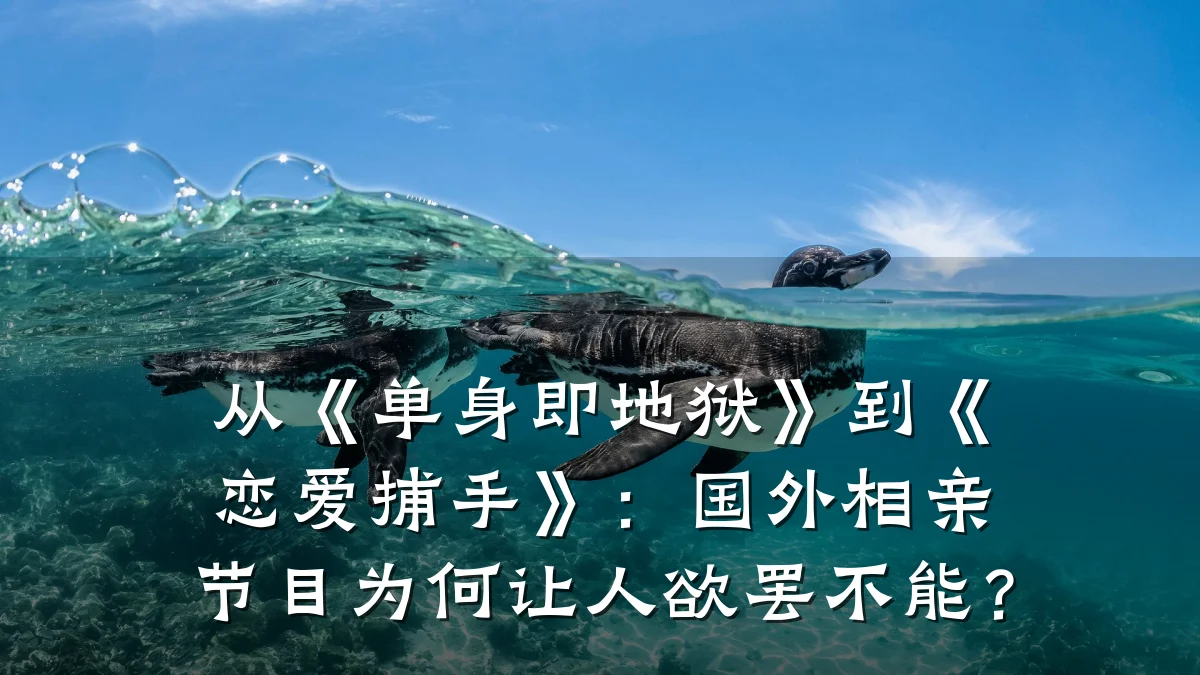 从《单身即地狱》到《恋爱捕手》:国外相亲节目为何让人欲罢不能?
