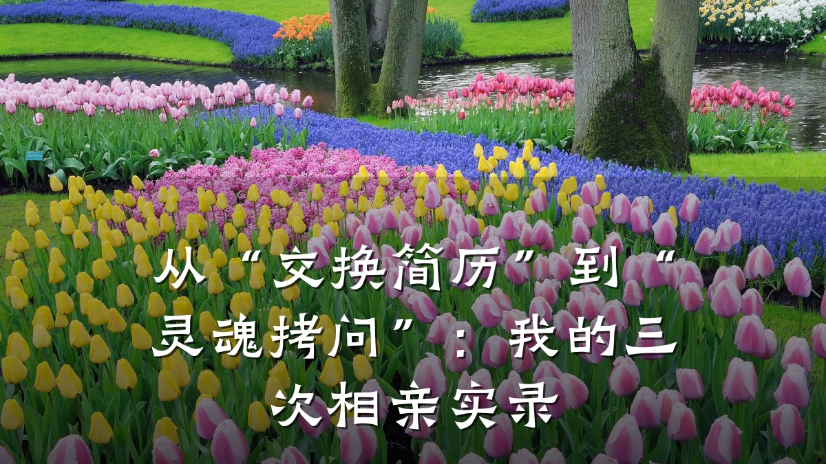 从“交换简历”到“灵魂拷问”:我的三次相亲实录