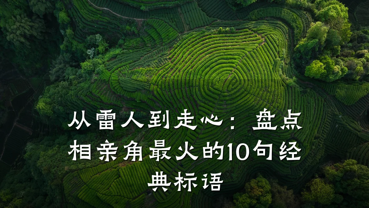 从雷人到走心：盘点相亲角最火的10句经典标语