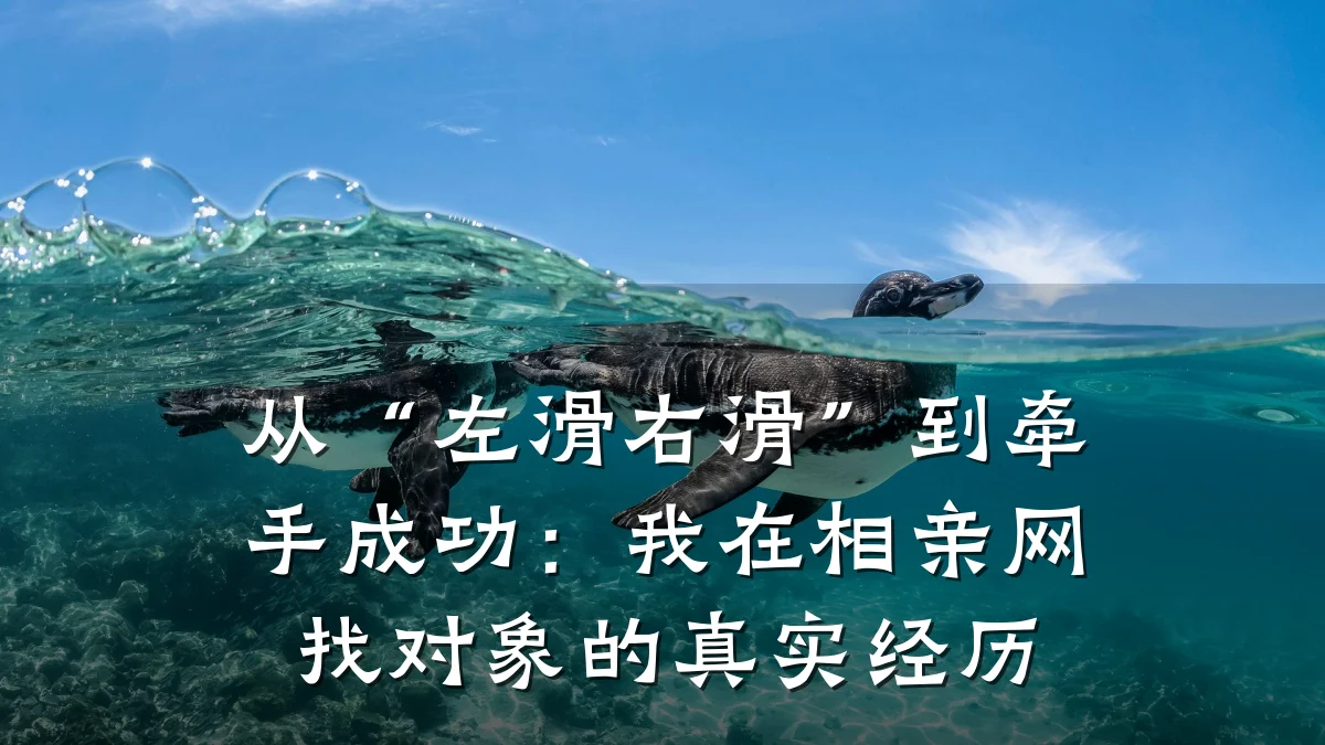 从“左滑右滑”到牵手成功:我在相亲网找对象的真实经历