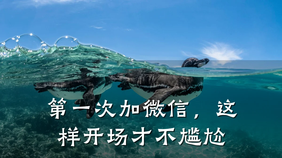 第一次加微信,这样开场才不尴尬