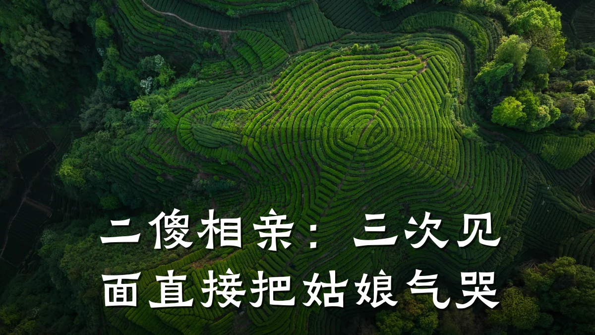 二傻相亲:三次见面直接把姑娘气哭