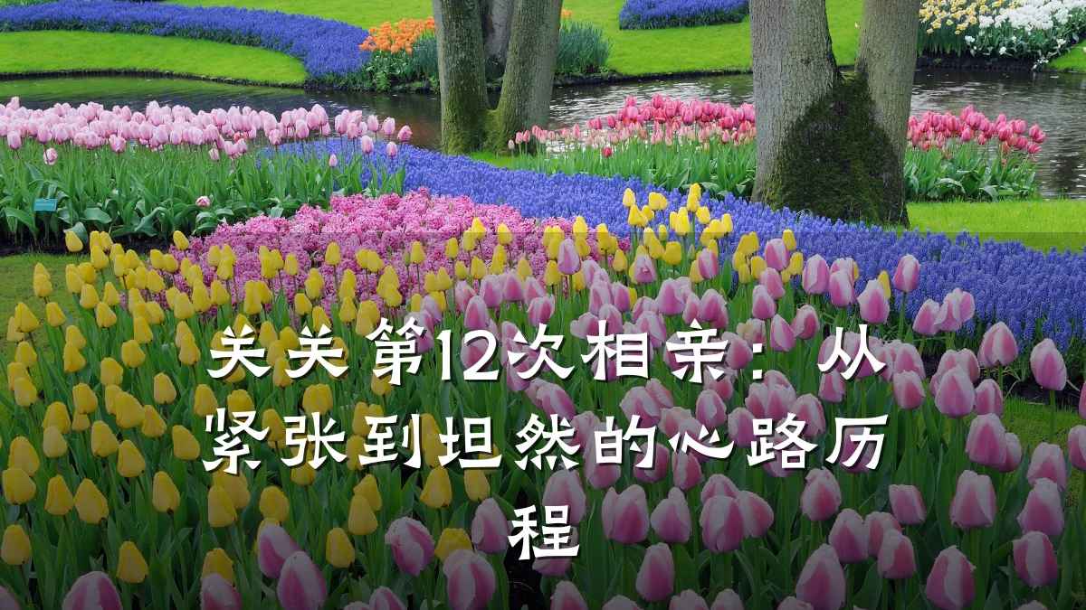 关关第12次相亲:从紧张到坦然的心路历程