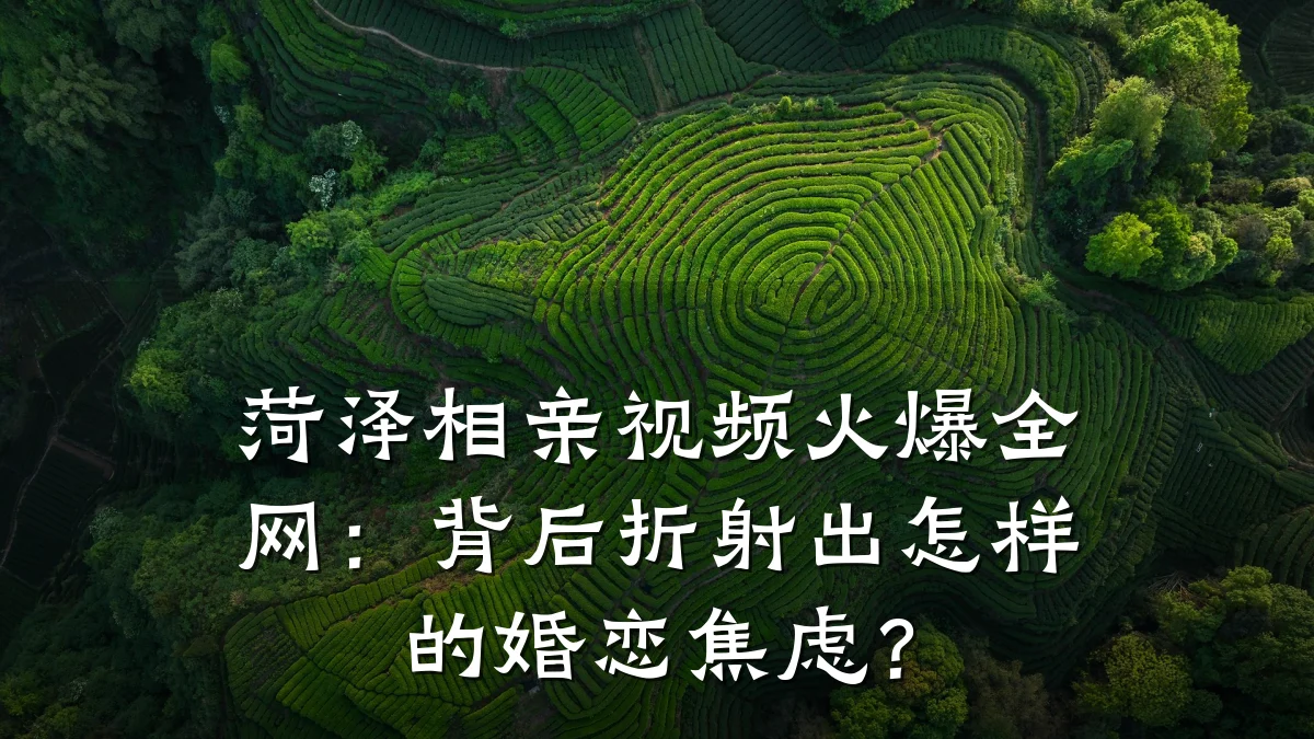 菏泽相亲视频火爆全网:背后折射出怎样的婚恋焦虑?