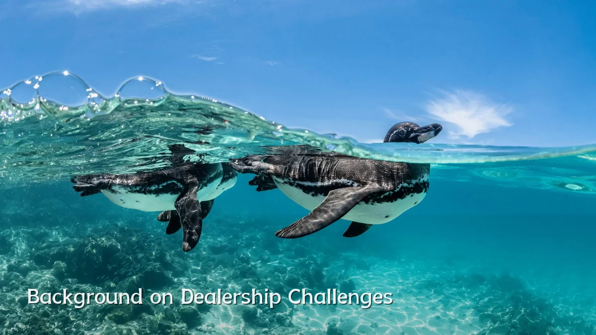 Background on Dealership Challenges