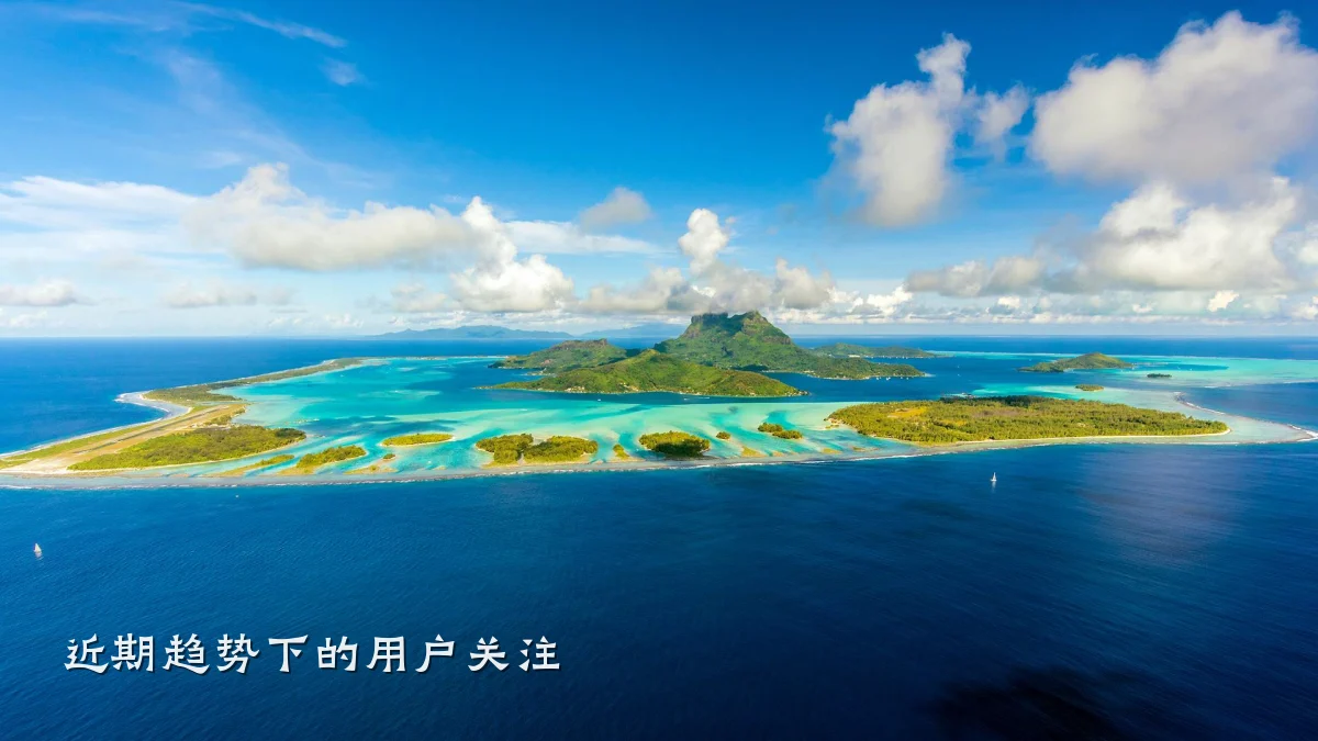 近期趋势下的用户关注
