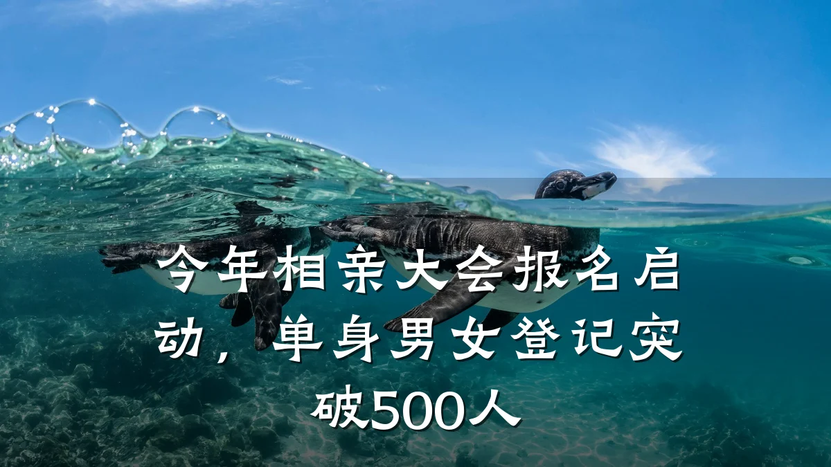 今年相亲大会报名启动,单身男女登记突破500人