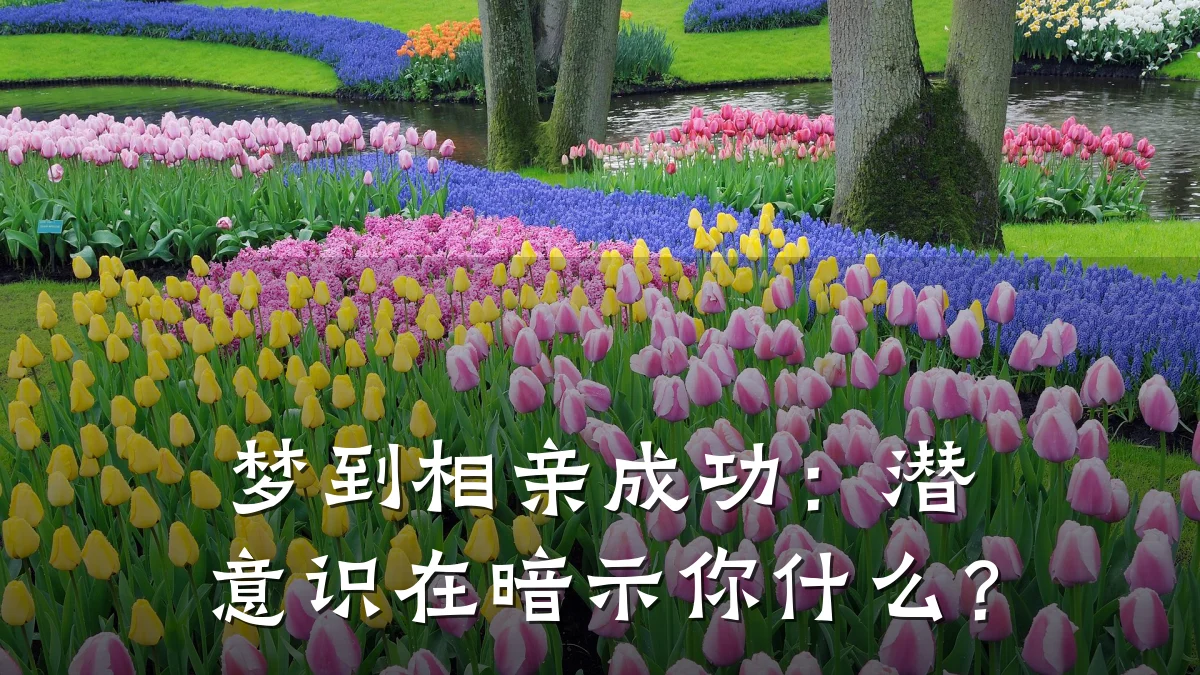 梦到相亲成功:潜意识在暗示你什么?