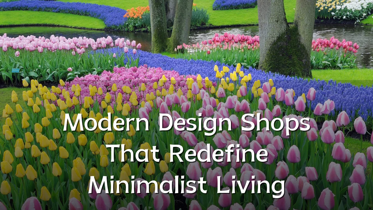Modern Design Shops That Redefine Minimalist Living