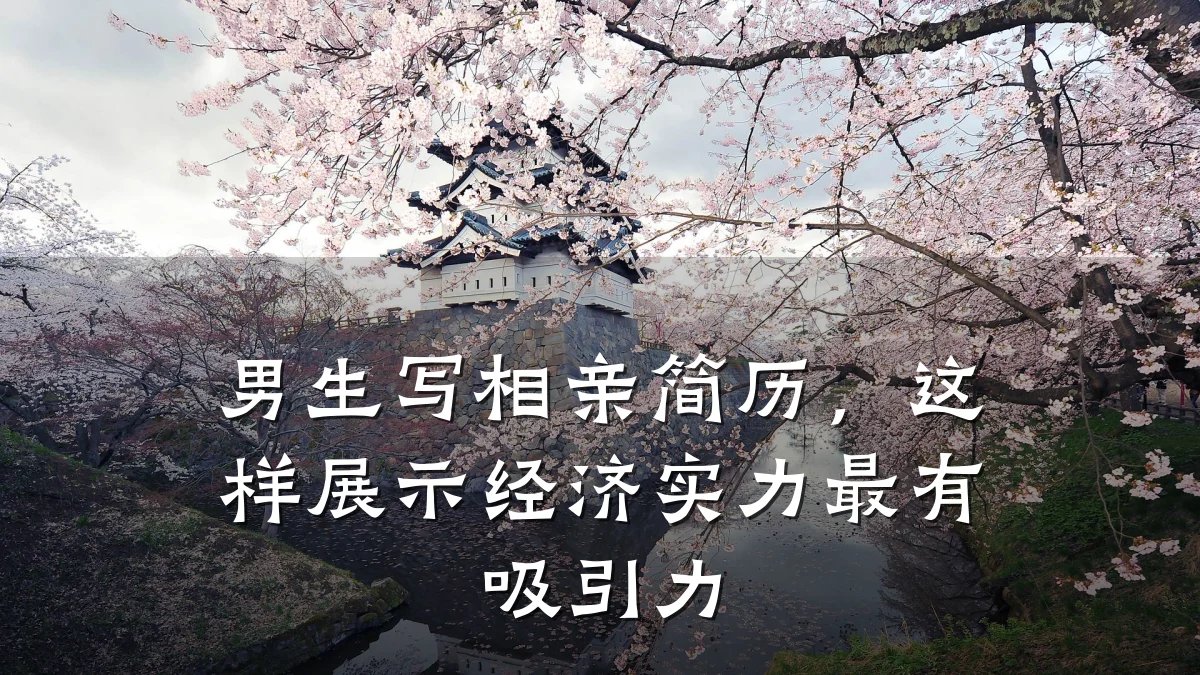 男生写相亲简历,这样展示经济实力最有吸引力