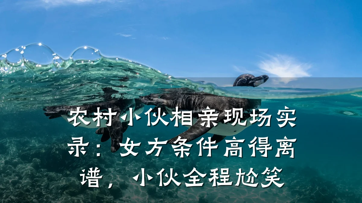 农村小伙相亲现场实录:女方条件高得离谱,小伙全程尬笑