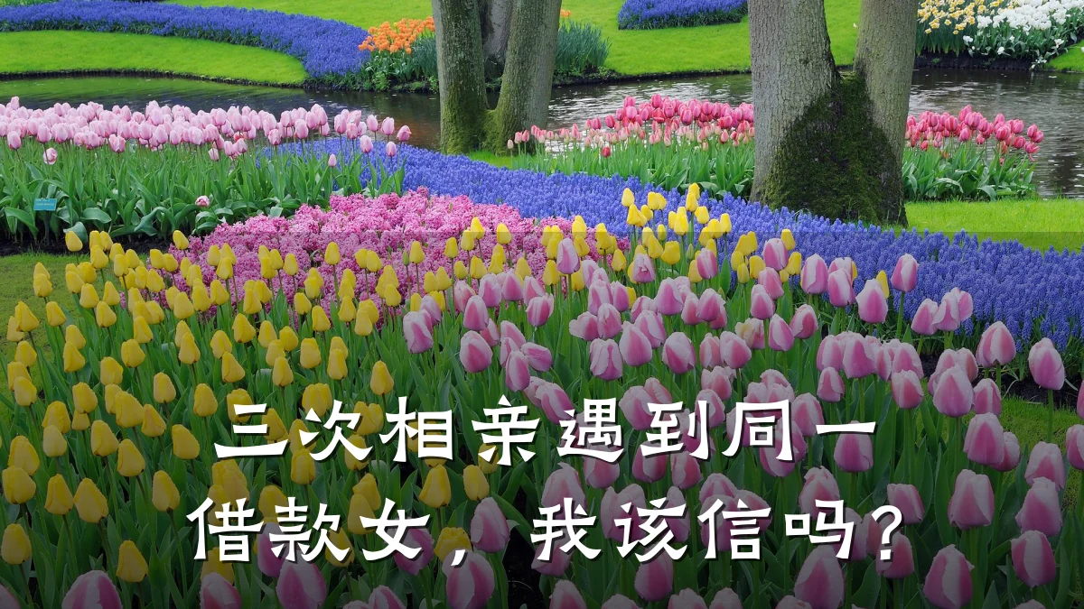 三次相亲遇到同一借款女,我该信吗?