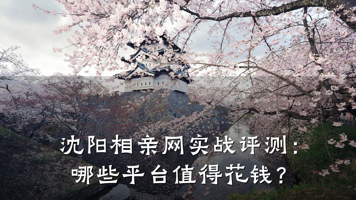 沈阳相亲网实战评测:哪些平台值得花钱?