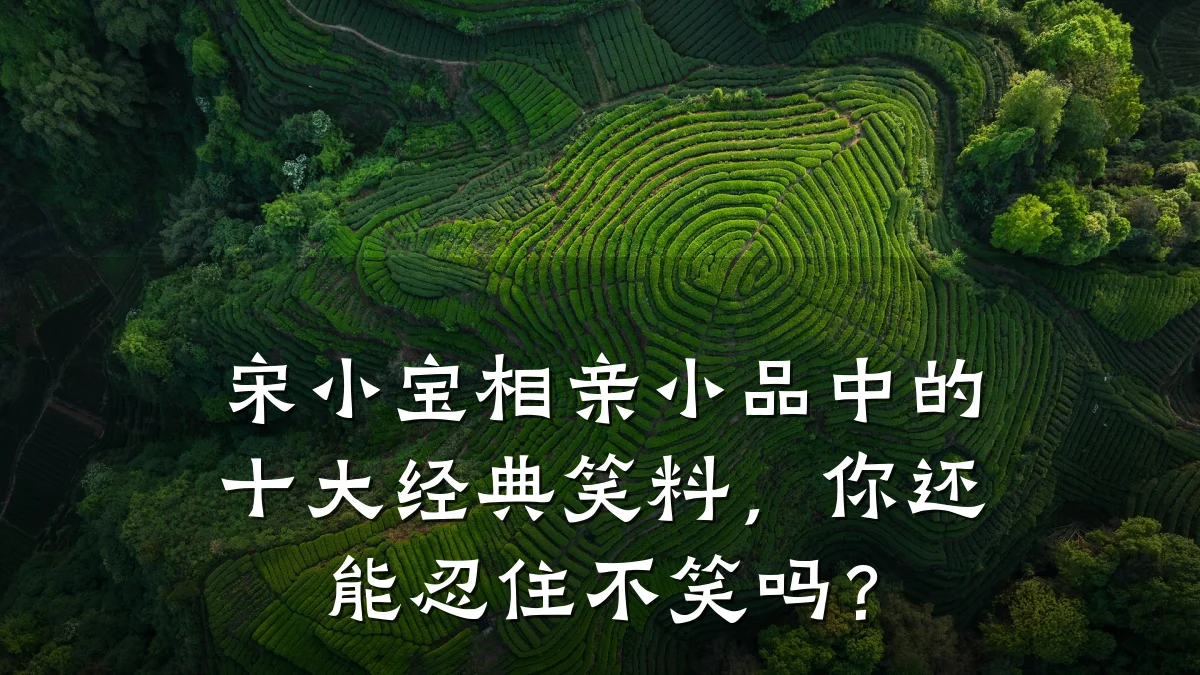 宋小宝相亲小品中的十大经典笑料,你还能忍住不笑吗?