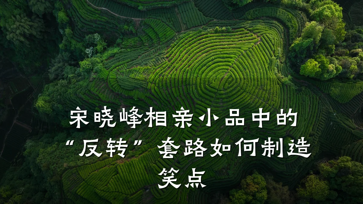 宋晓峰相亲小品中的“反转”套路如何制造笑点