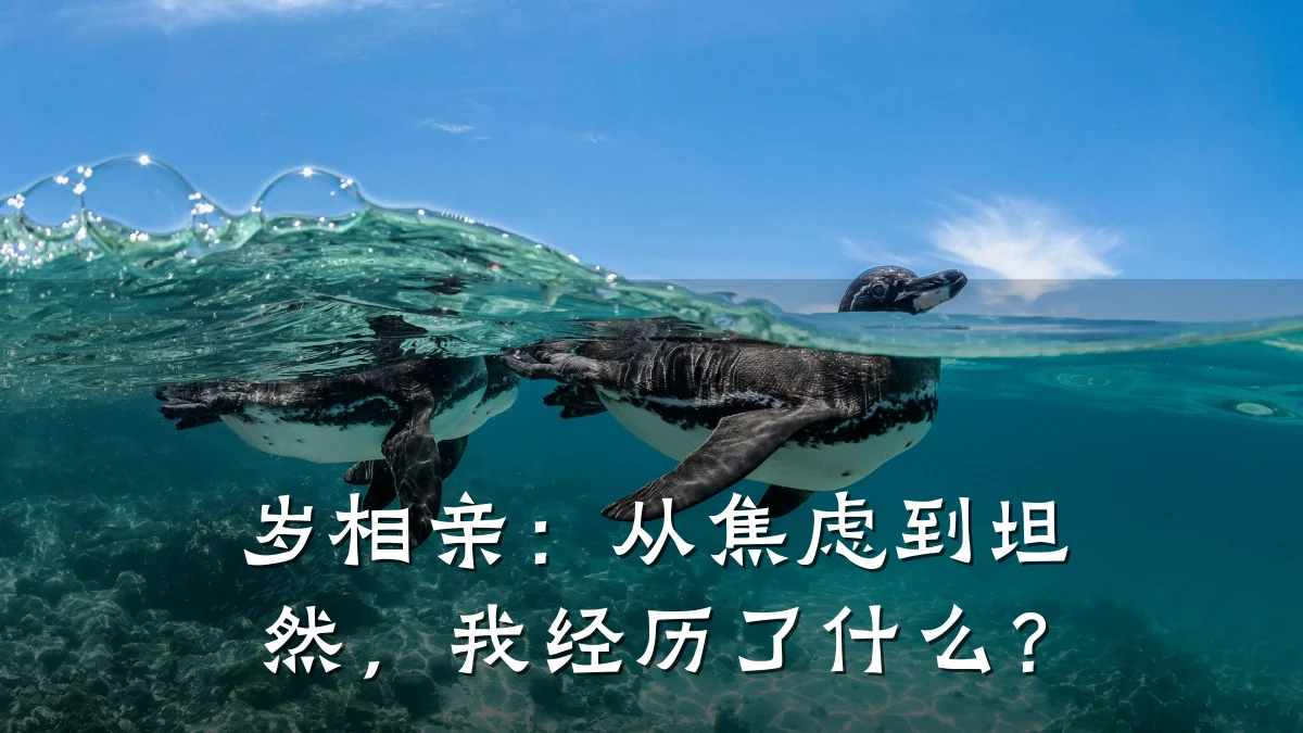 岁相亲:从焦虑到坦然,我经历了什么?