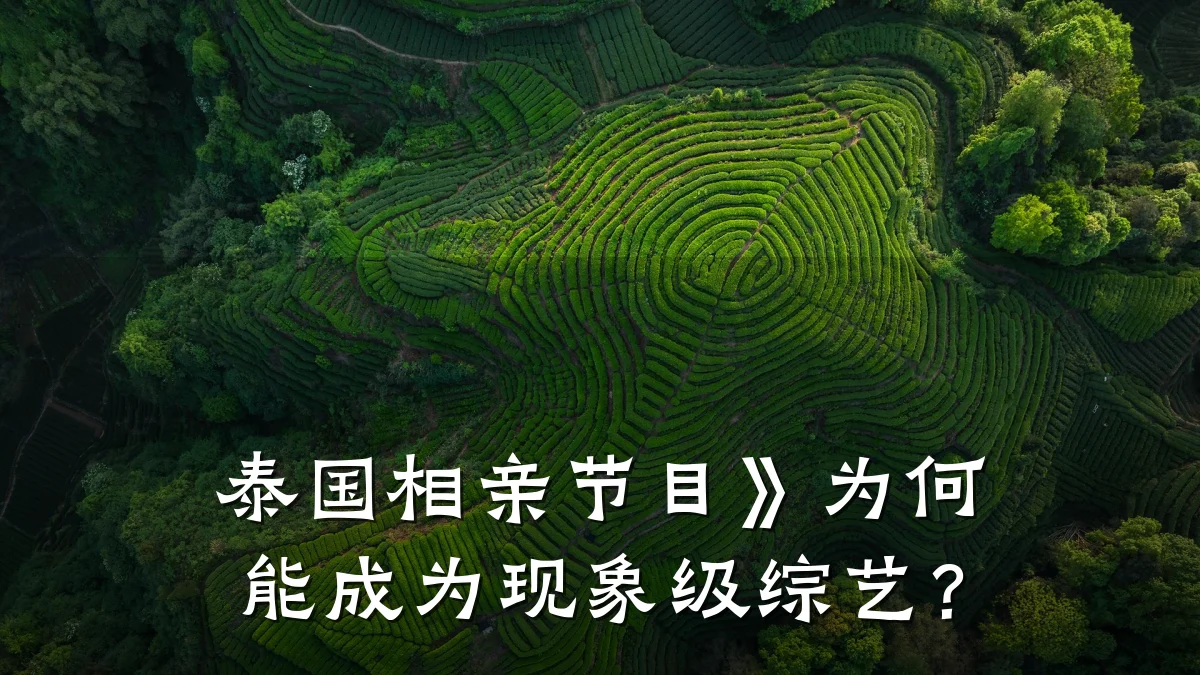 泰国相亲节目》为何能成为现象级综艺?