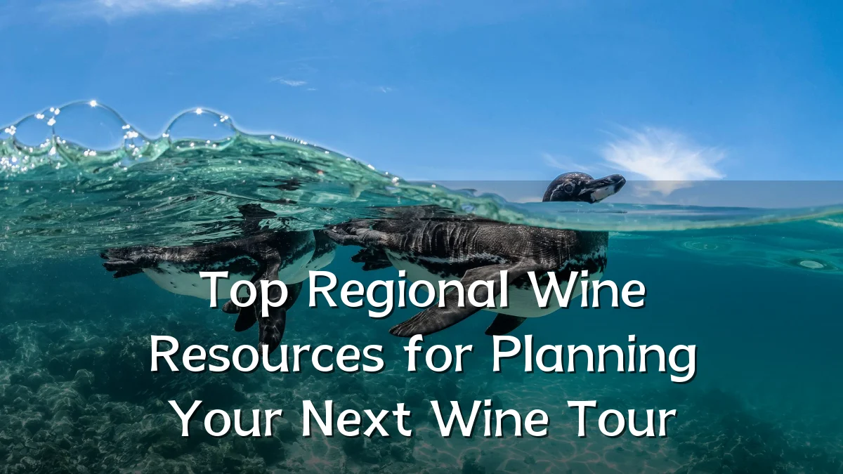 Top Regional Wine Resources for Planning Your Next Wine Tour