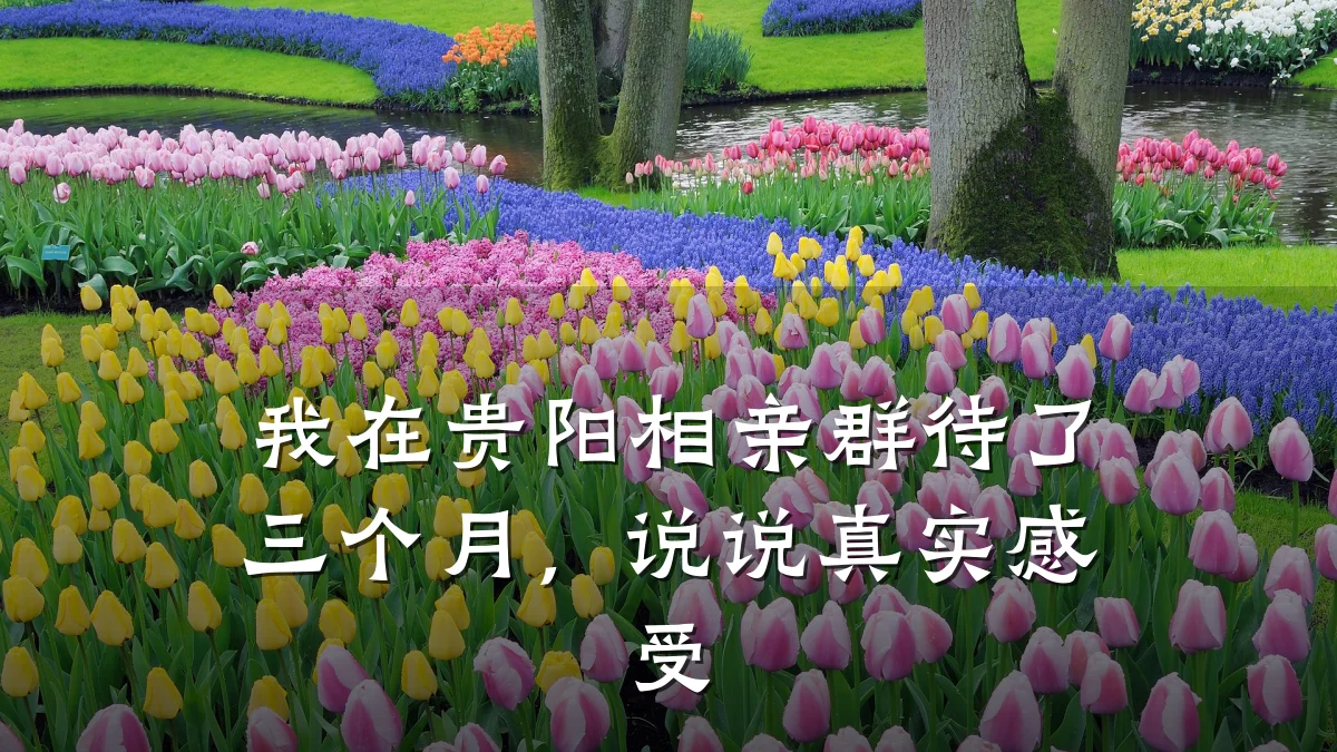 我在贵阳相亲群待了三个月,说说真实感受