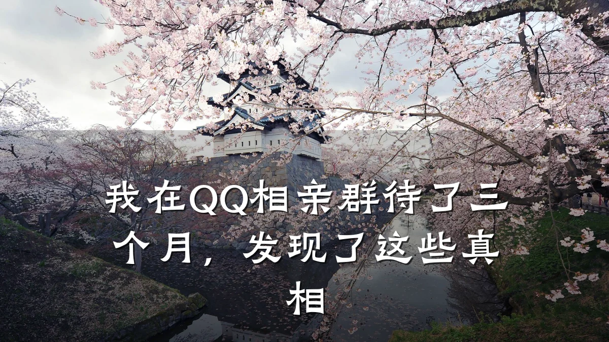 我在QQ相亲群待了三个月,发现了这些真相