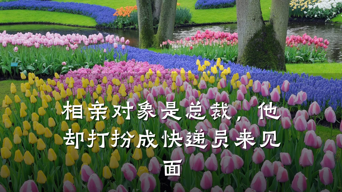 相亲对象是总裁,他却打扮成快递员来见面