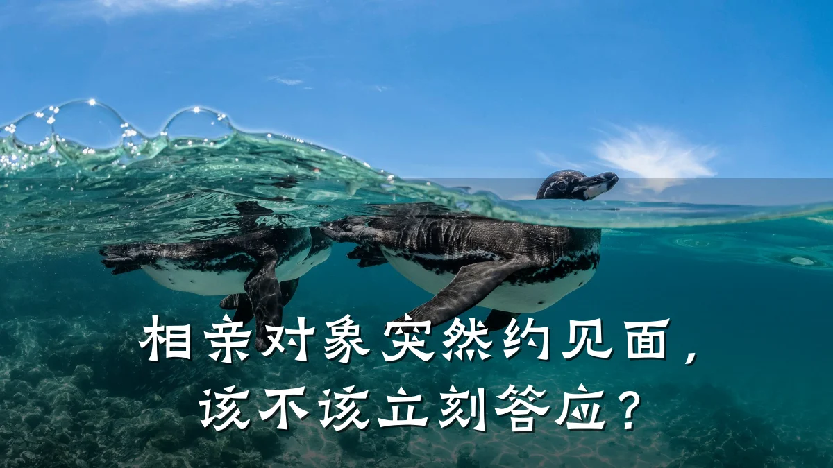 相亲对象突然约见面,该不该立刻答应?