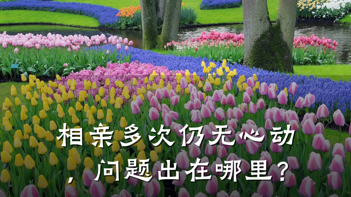 相亲多次仍无心动,问题出在哪里?