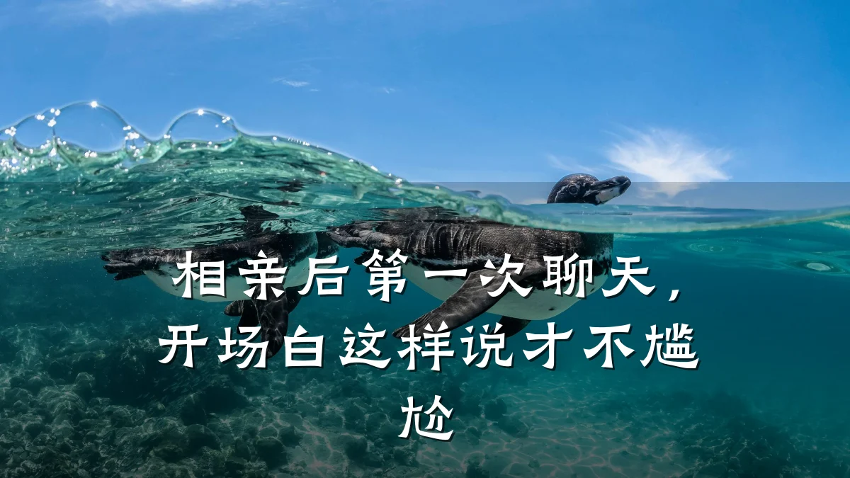 相亲后第一次聊天,开场白这样说才不尴尬