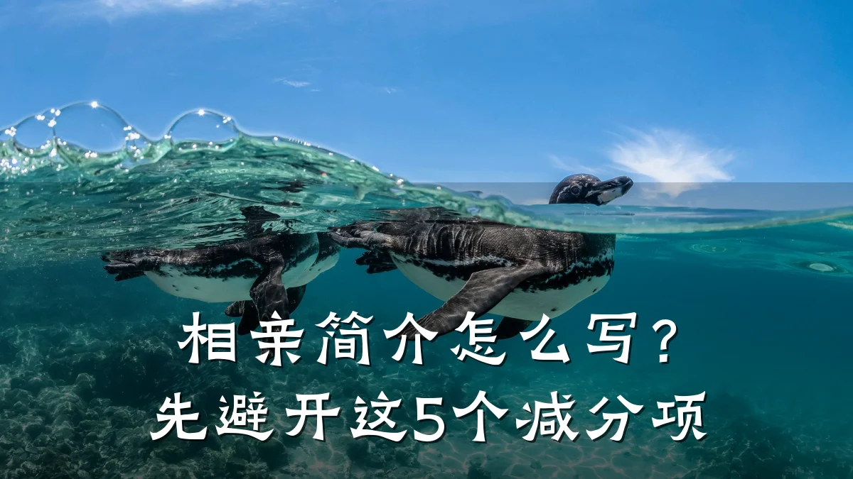 相亲简介怎么写?先避开这5个减分项