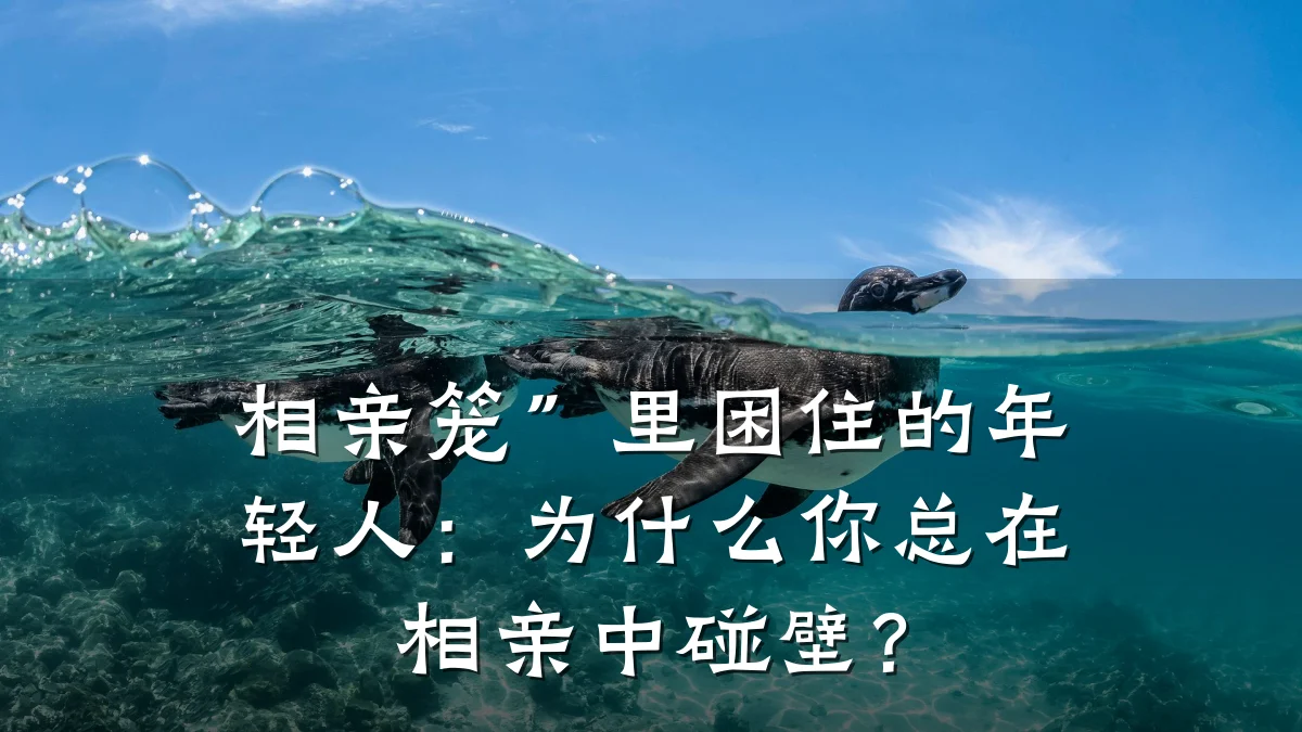 相亲笼”里困住的年轻人:为什么你总在相亲中碰壁?