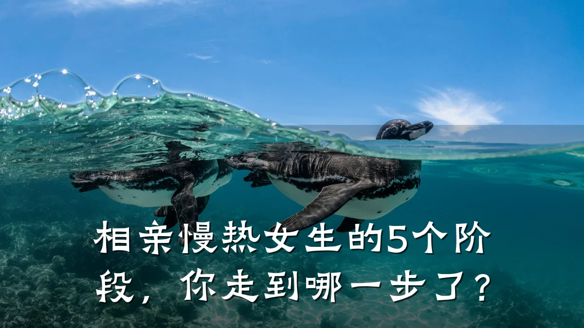 相亲慢热女生的5个阶段,你走到哪一步了?