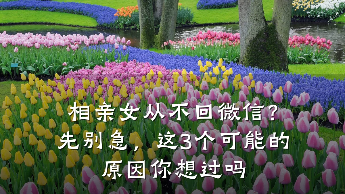 相亲女从不回微信?先别急,这3个可能的原因你想过吗