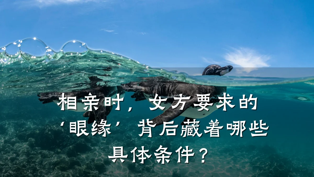 相亲时,女方要求的‘眼缘’背后藏着哪些具体条件?