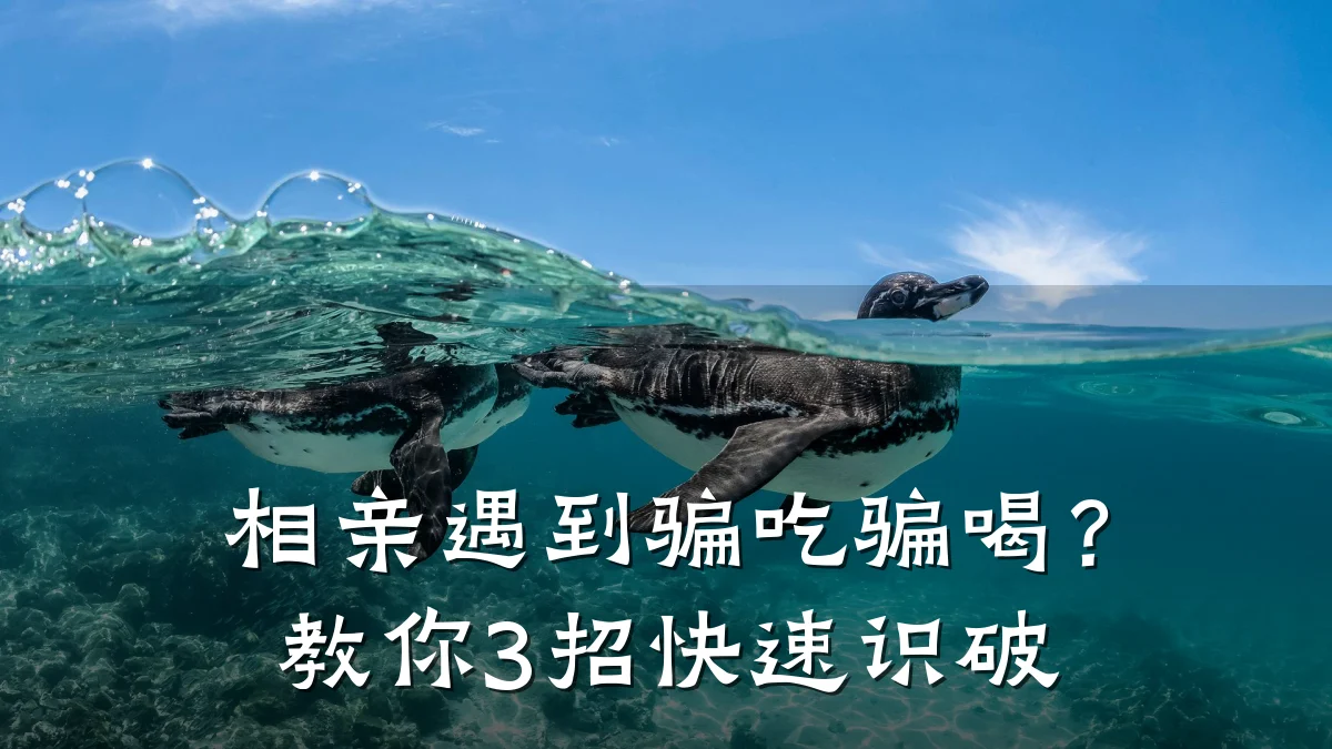 相亲遇到骗吃骗喝?教你3招快速识破