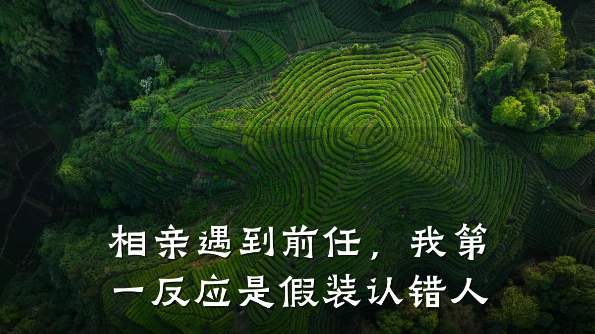 相亲遇到前任,我第一反应是假装认错人