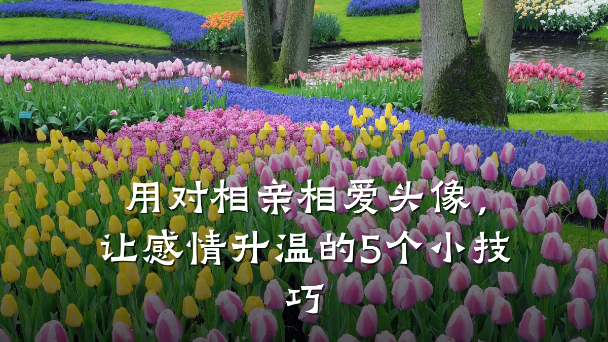 用对相亲相爱头像,让感情升温的5个小技巧