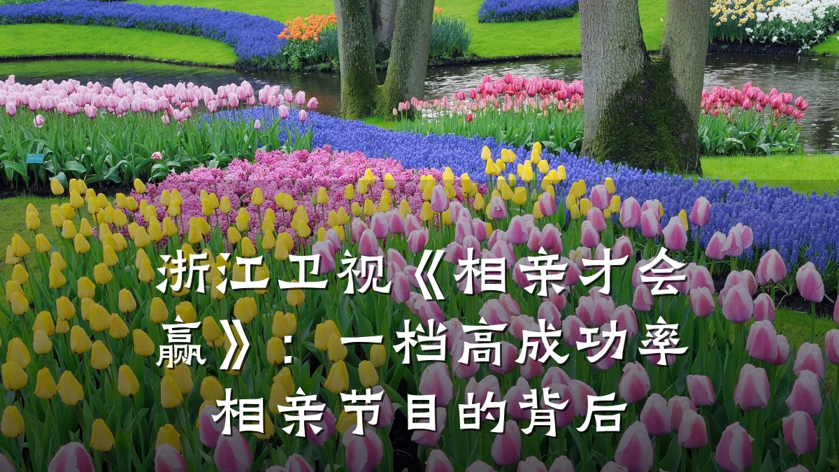浙江卫视《相亲才会赢》:一档高成功率相亲节目的背后