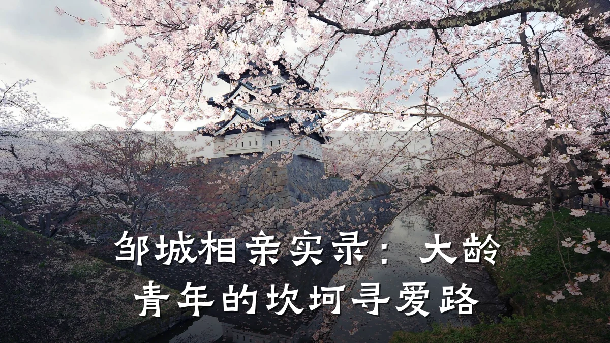 邹城相亲实录:大龄青年的坎坷寻爱路