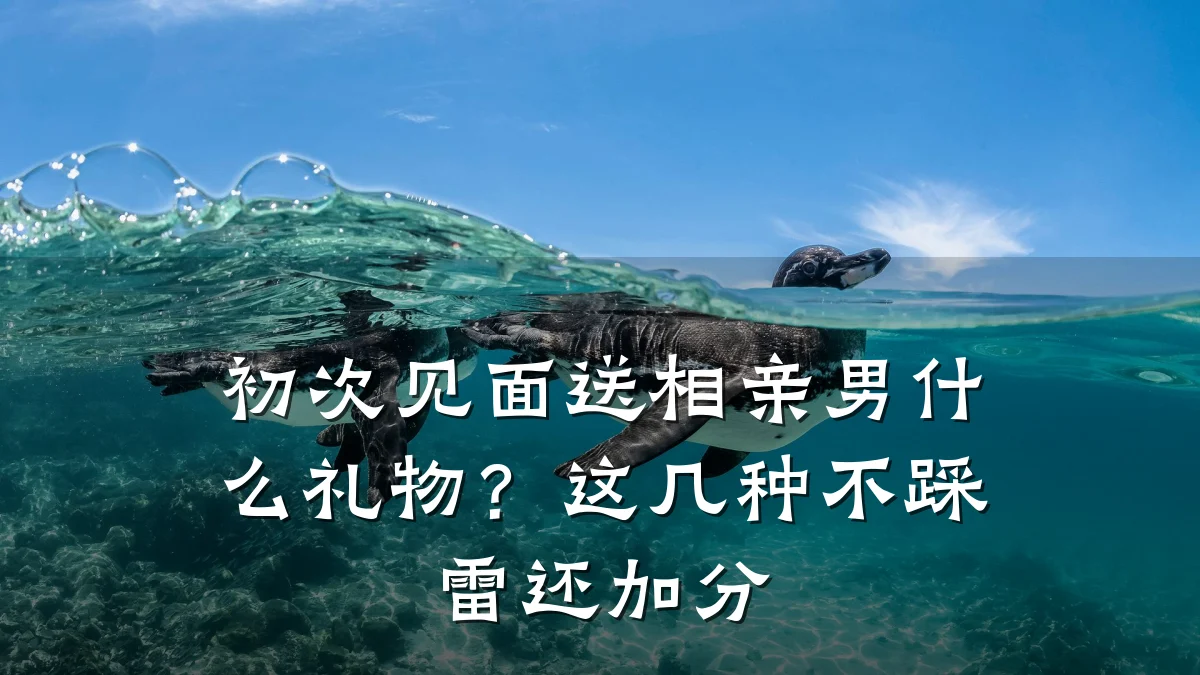 初次见面送相亲男什么礼物?这几种不踩雷还加分