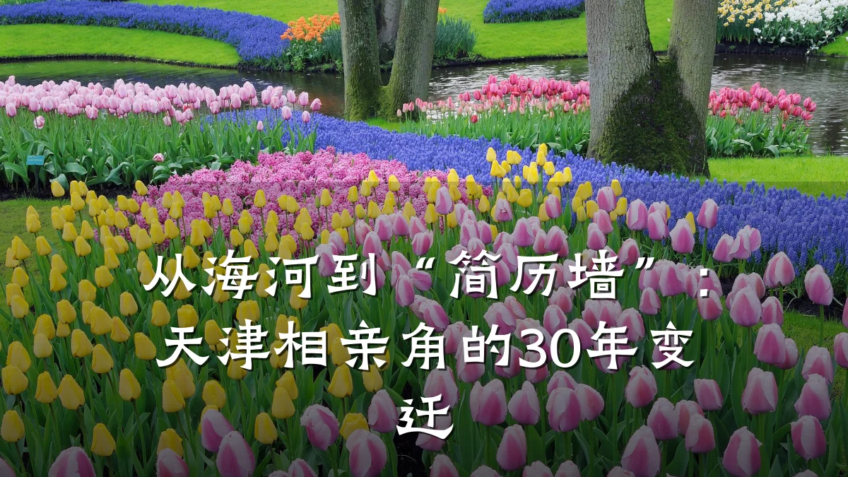 从海河到“简历墙”:天津相亲角的30年变迁