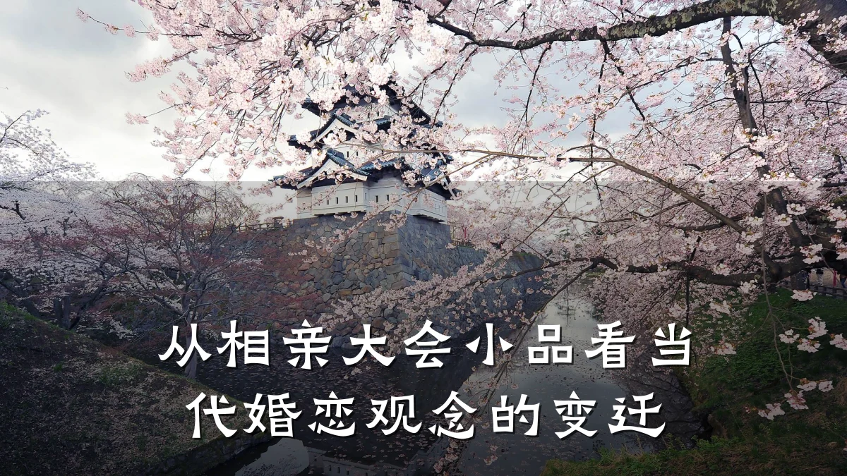 从相亲大会小品看当代婚恋观念的变迁