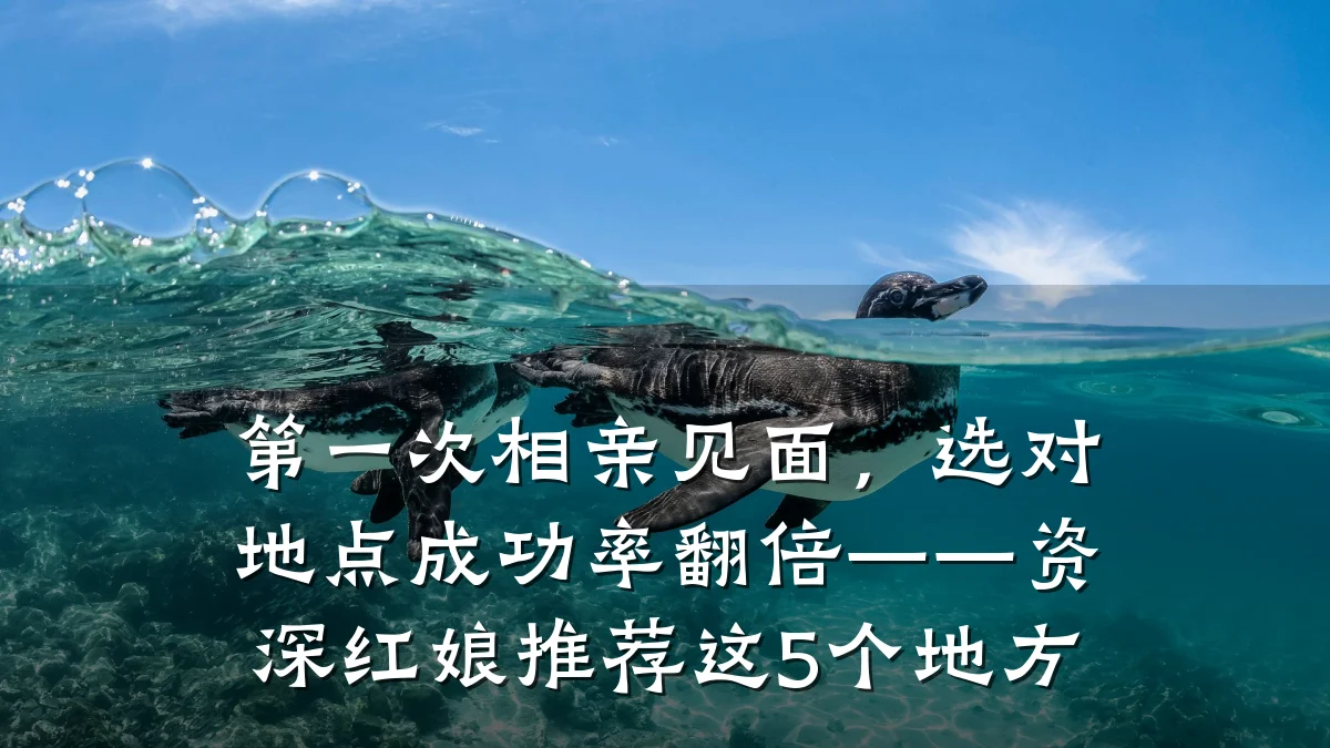 第一次相亲见面,选对地点成功率翻倍——资深红娘推荐这5个地方