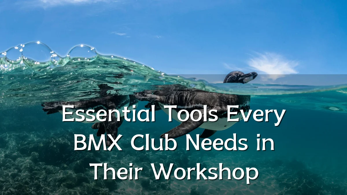 Essential Tools Every BMX Club Needs in Their Workshop