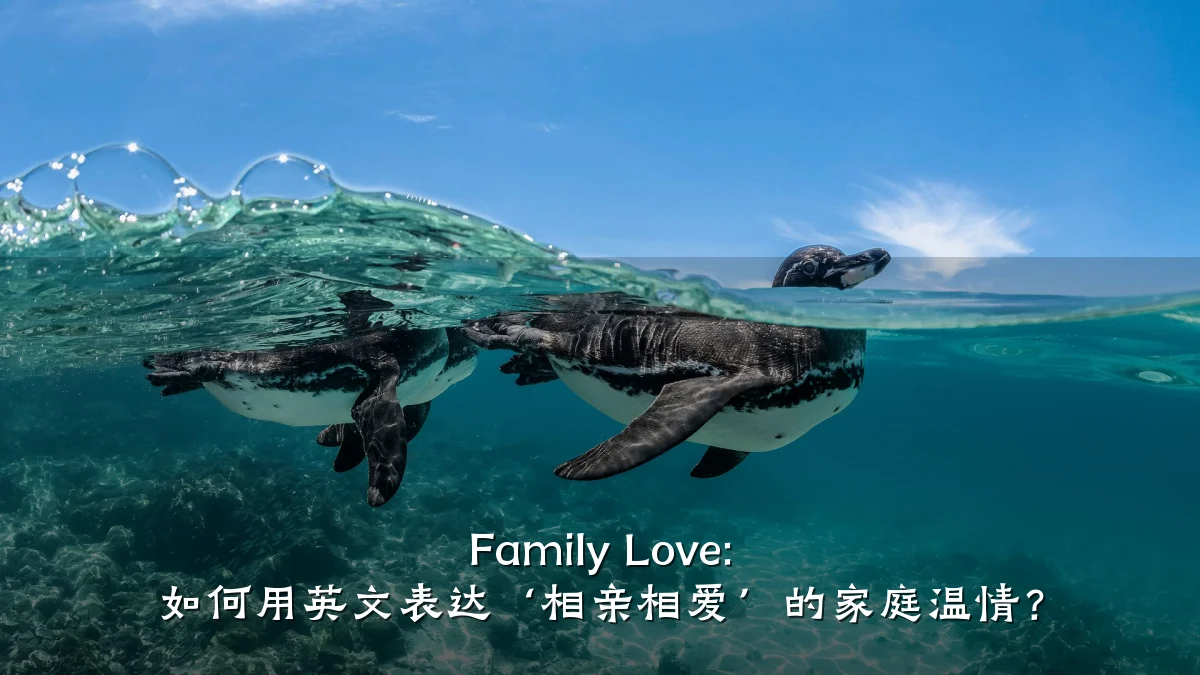 Family Love: 如何用英文表达‘相亲相爱’的家庭温情?
