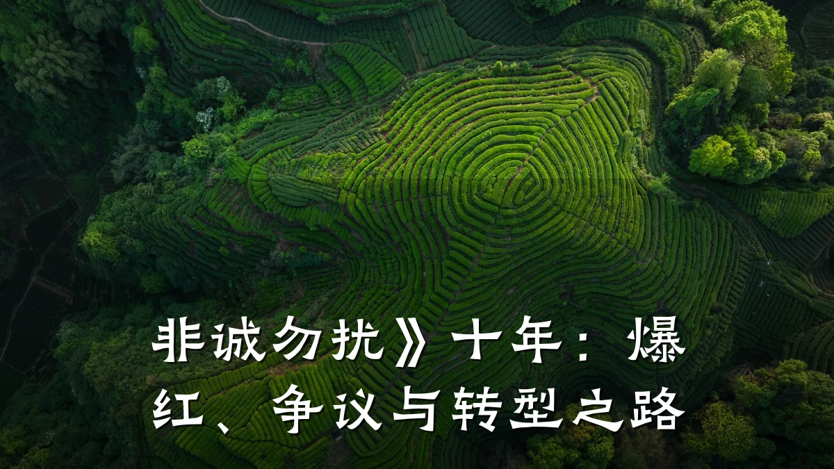 非诚勿扰》十年:爆红、争议与转型之路