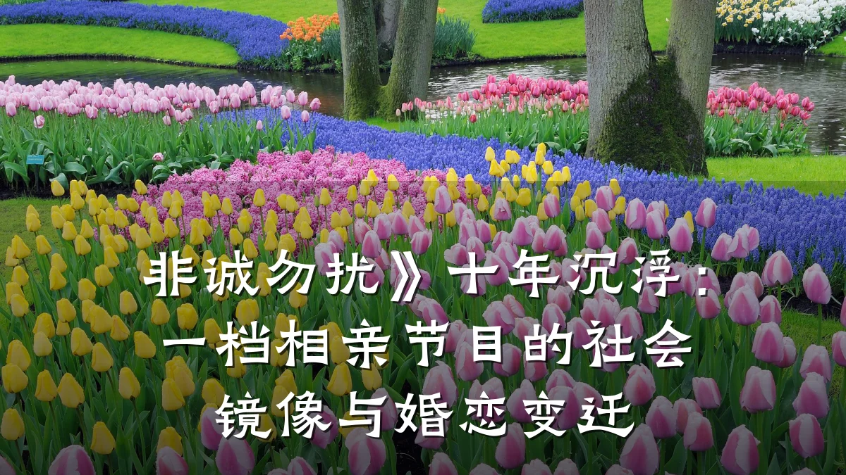 非诚勿扰》十年沉浮:一档相亲节目的社会镜像与婚恋变迁