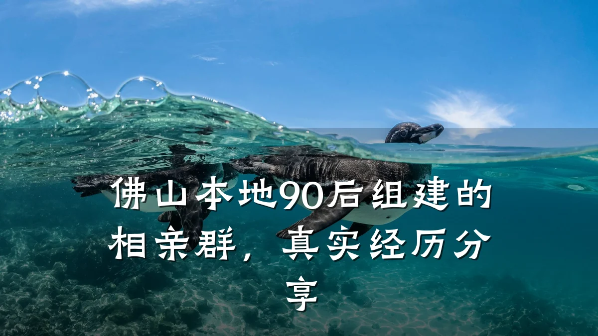 佛山本地90后组建的相亲群,真实经历分享