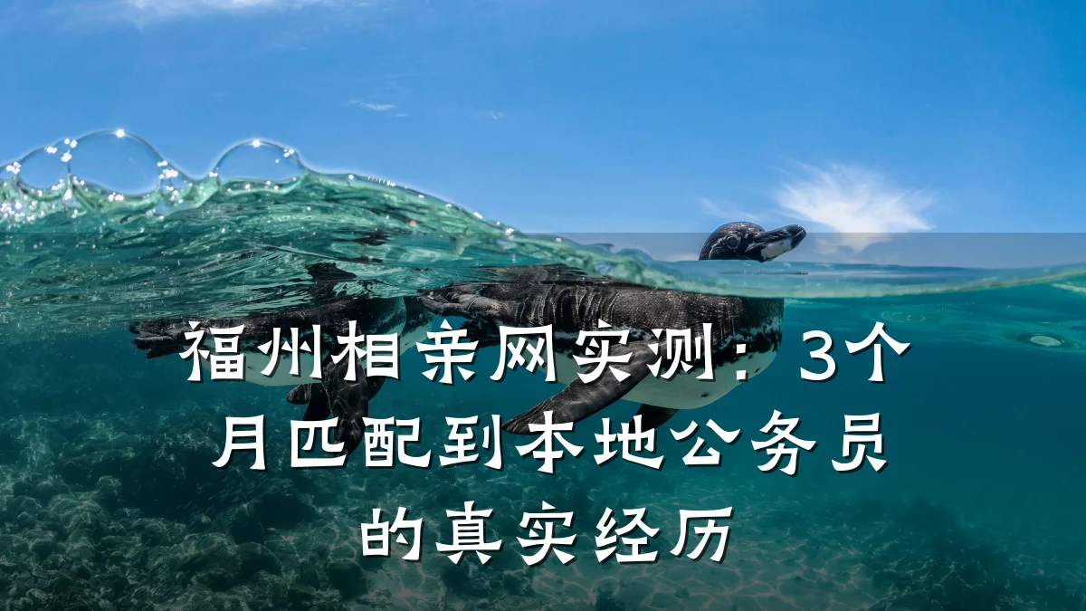福州相亲网实测:3个月匹配到本地公务员的真实经历